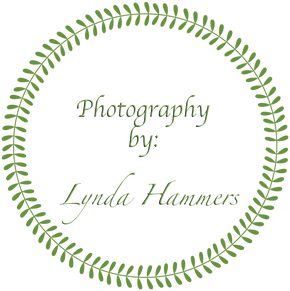 Lynda Hammers Photography (Backroads Seniors)